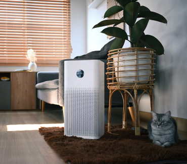 dehumidifier