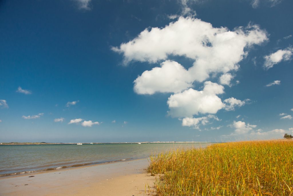 cape cod beach