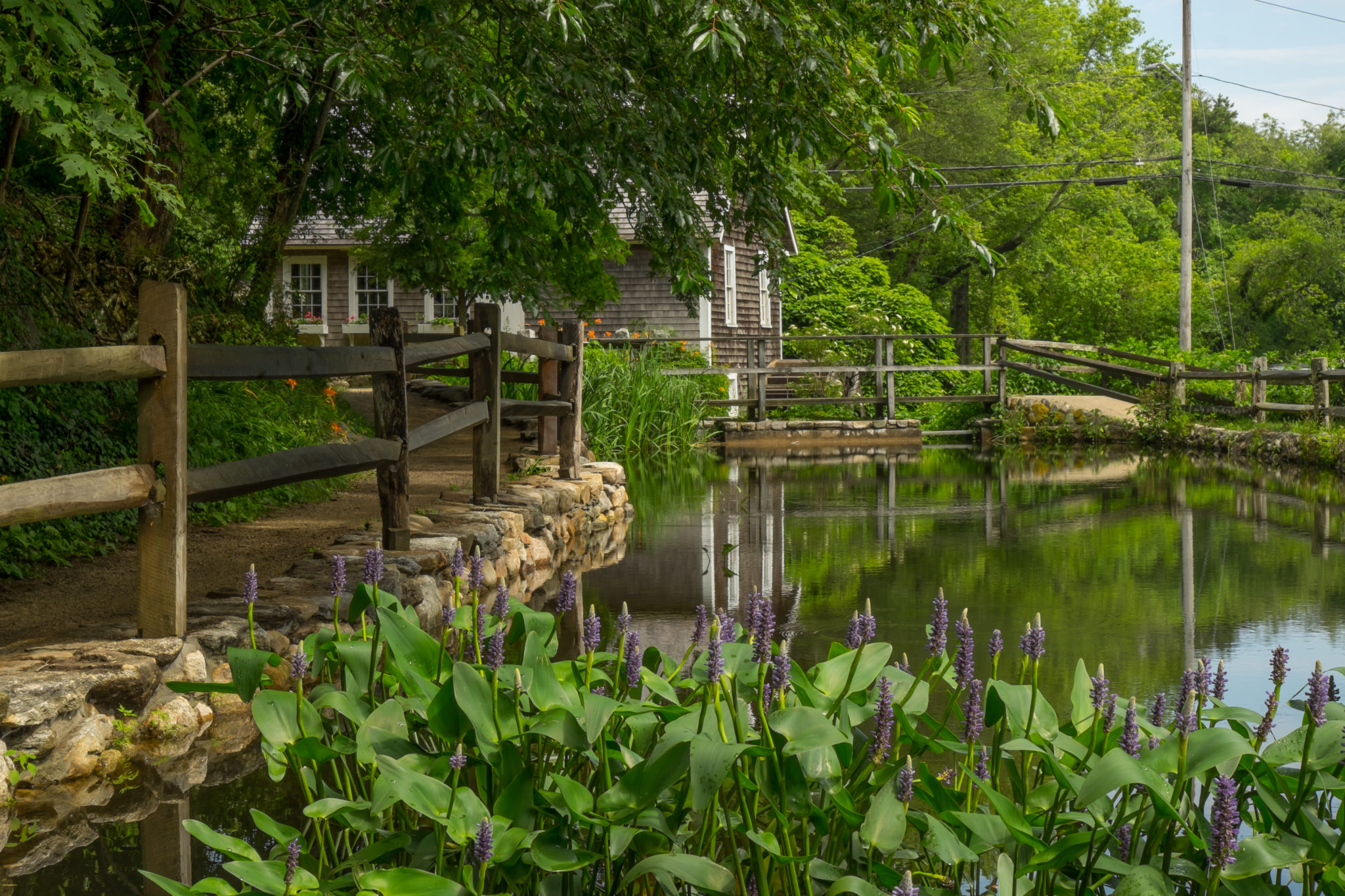 yard with water and greenery on cape cod