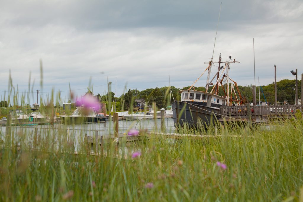boats docked on cape cod
