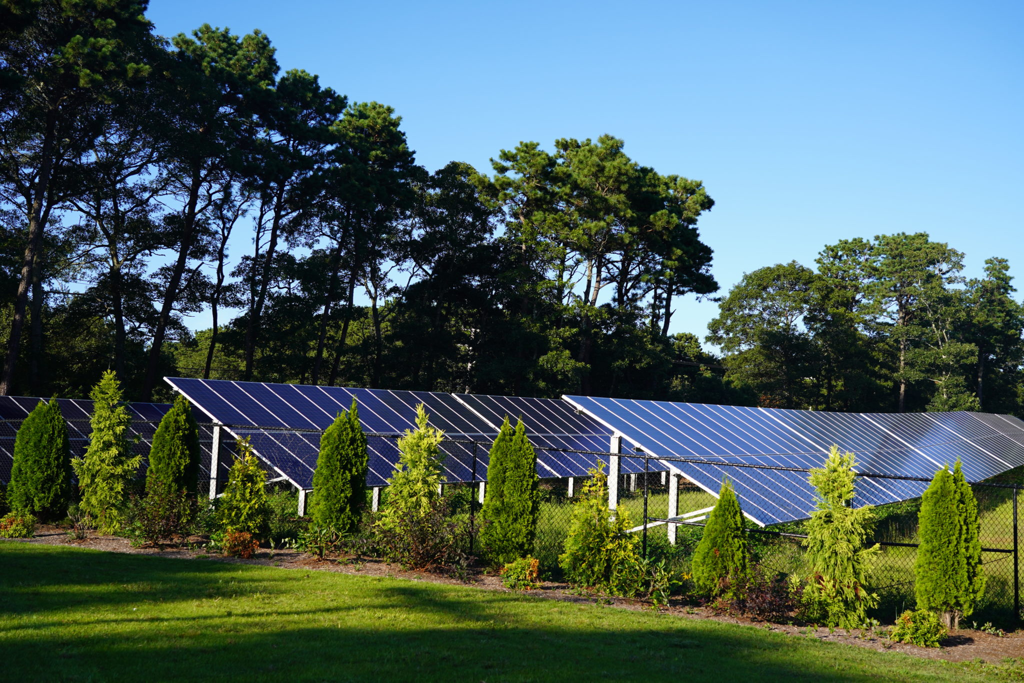 solar panels