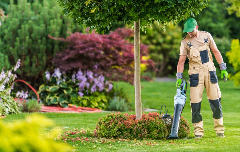 Worker with battery-powered leaf blower